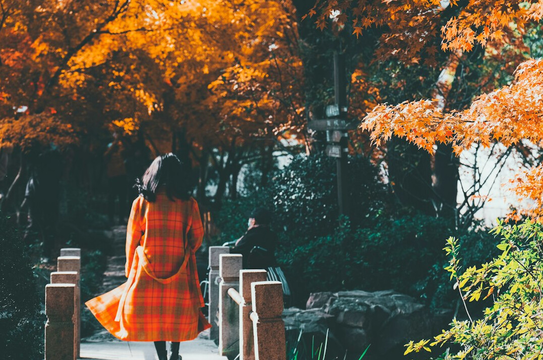 people in urban park